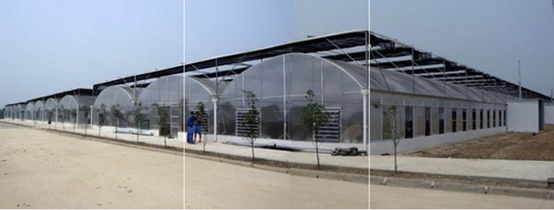 Glass Greenhouse detail 3